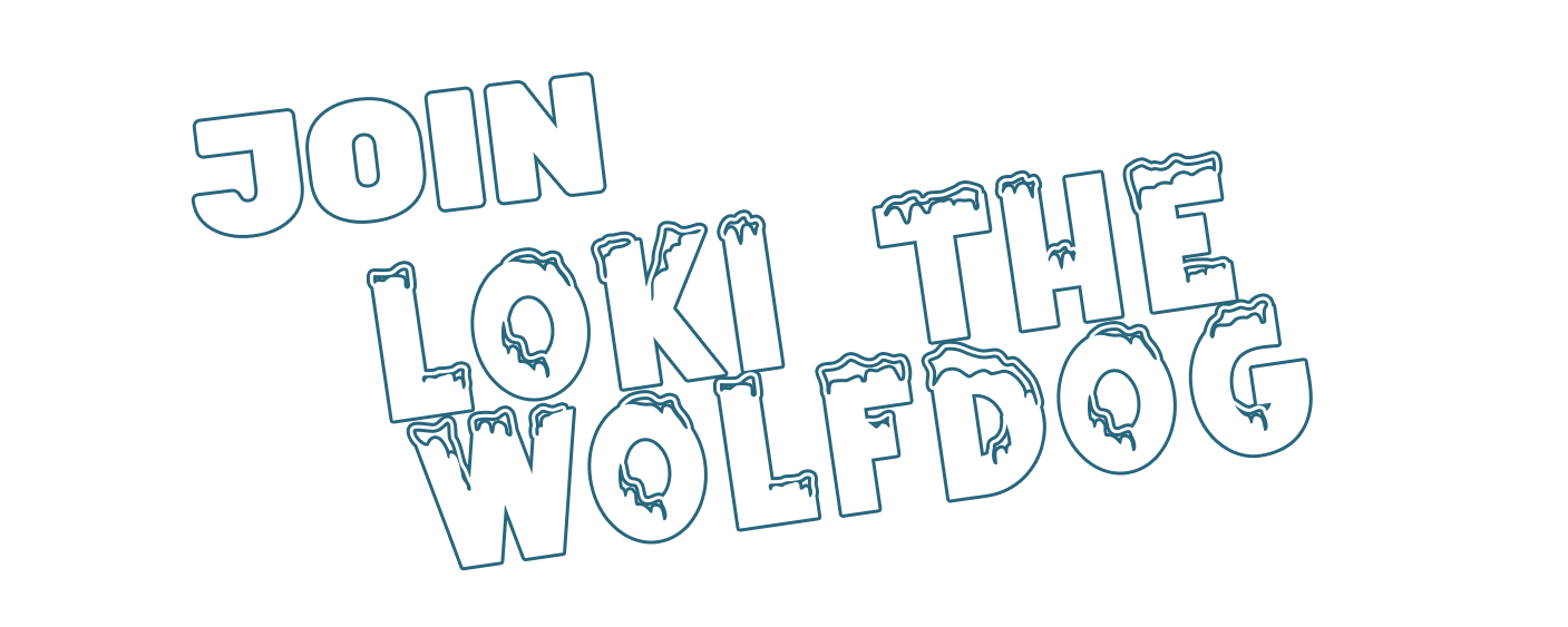 Join Loki the Wolfdog